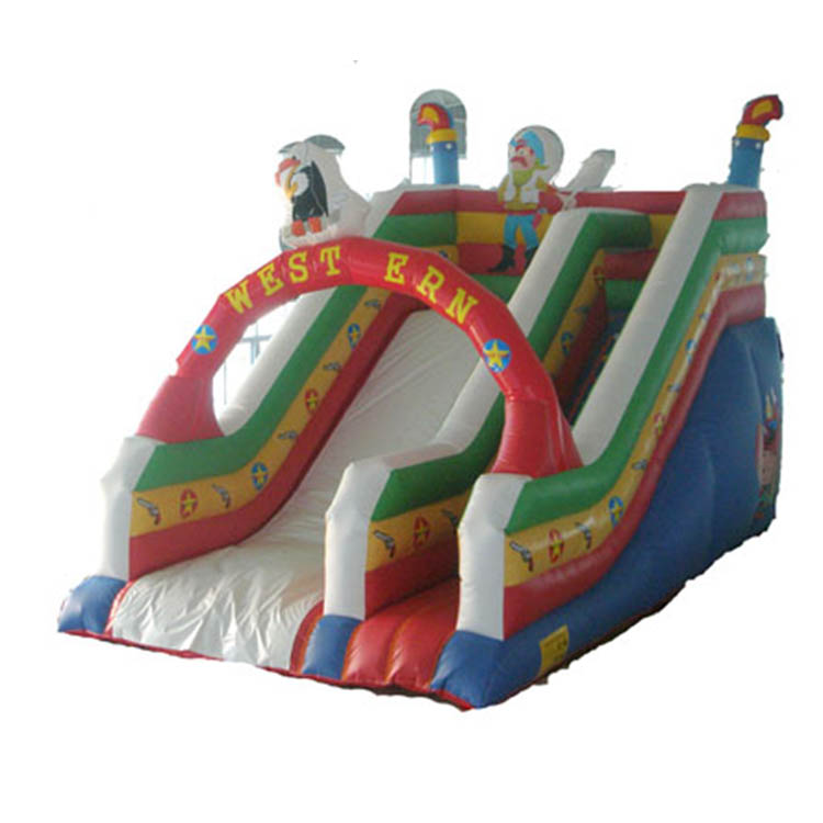 Inflatable Slides FLSL-A20015