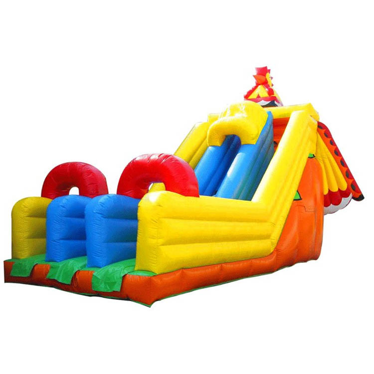 Inflatable Slides FLSL-A20025
