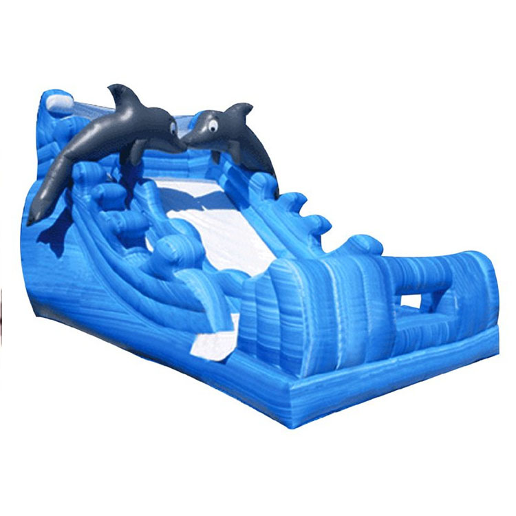 Inflatable Slides FLSL-A20028