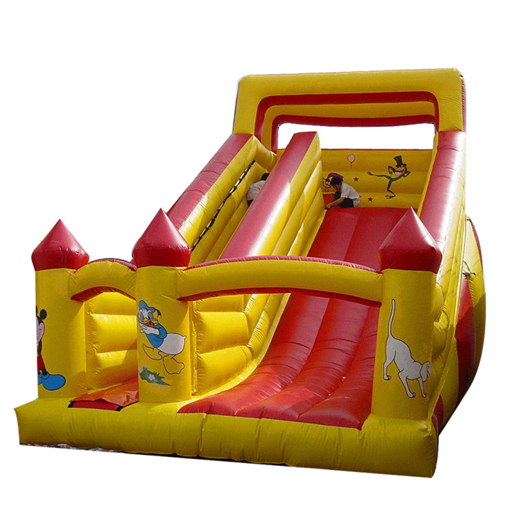 Inflatable Slides FLSL-A20034