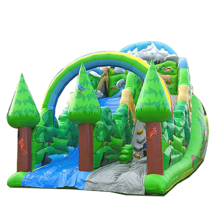 Inflatable Slides FLSL-A20059