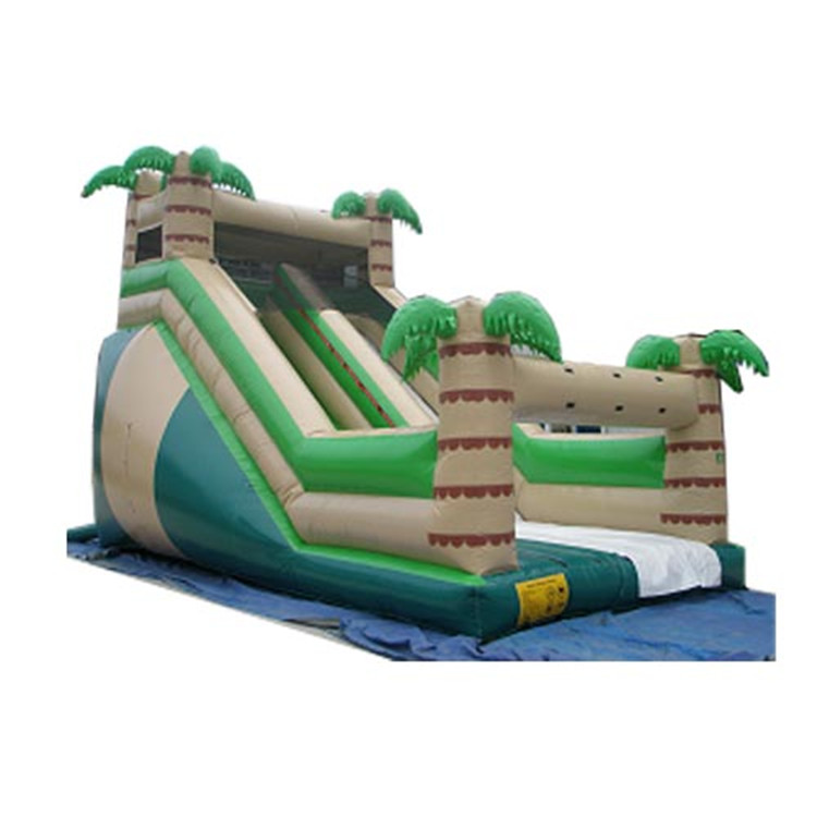 Inflatable Slides FLSL-A20065