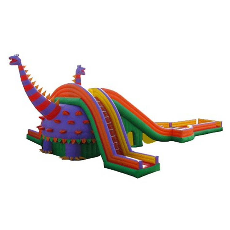 Inflatable Slides FLSL-A20066