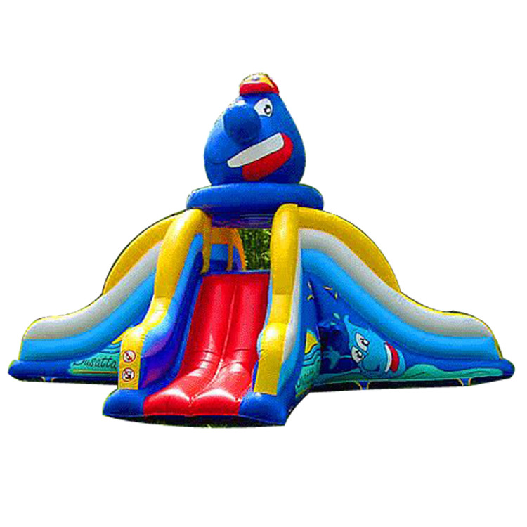 Inflatable Slides FLSL-A20068